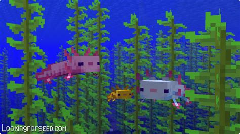 Everything You Need To Know About Axolotl In Minecraft