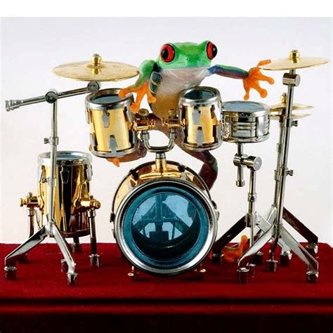 Drummer Frog Drum Photo 8x10 Wall Art Print With Images Drums Art