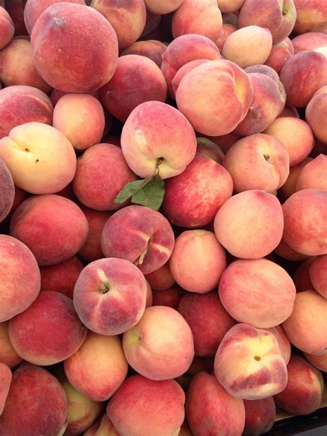 1200 x 800 jpeg 81 кб. indie fruit peaches Peach Peachy peach aesthetic farmers ...