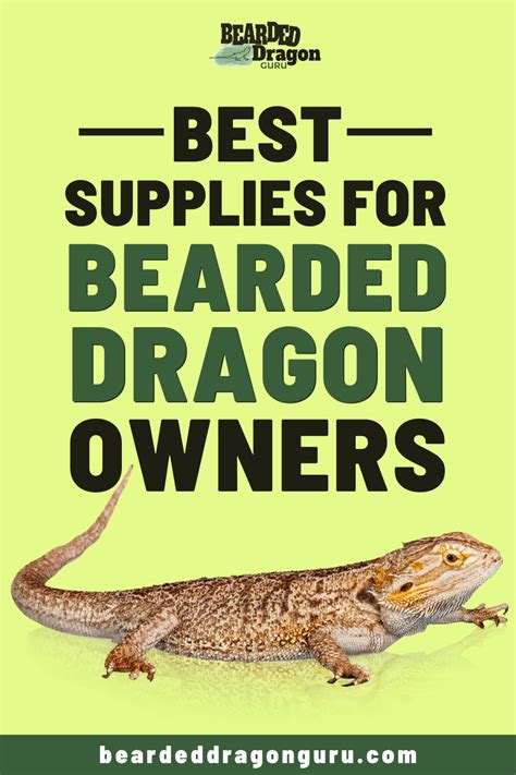 Finding The Best Supplies For Your Bearded Dragon Can Be Quite Daunting
