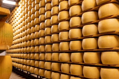 Alimenti News Anche Un Caso Di Parmigiano Reggiano Fake Ad Anuga