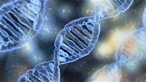 Dna Nanotechnology Goes Biomedical Advanced Science News