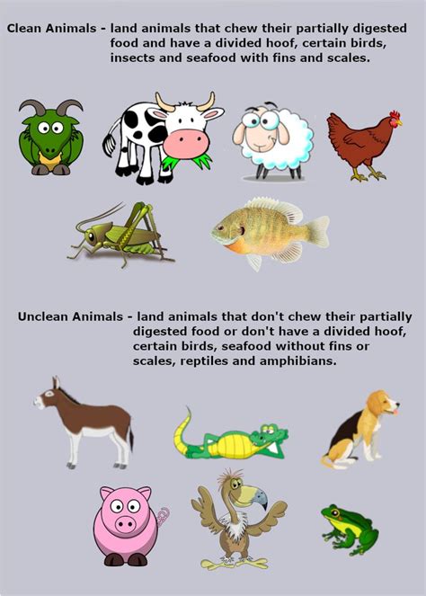 Clean And Unclean Animals Bible Curriculum Childrens Bible Bible