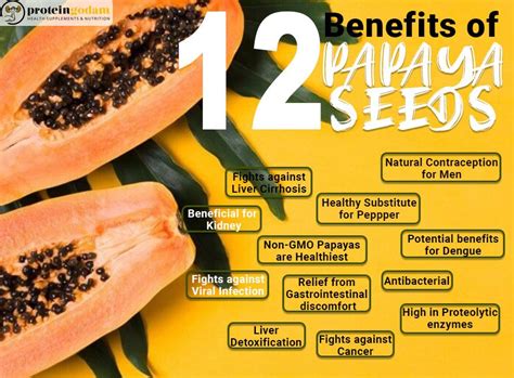 Benefits Of Papaya Seeds In Papaya Benefits Seeds Benefits