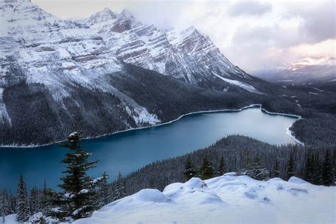 Pin By Δημήτρης Ράτσος On Winter Canadian Rockies Banff Nature