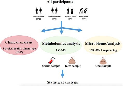 Frontiers Distinct Serum And Fecal Metabolite Profiles Linking With