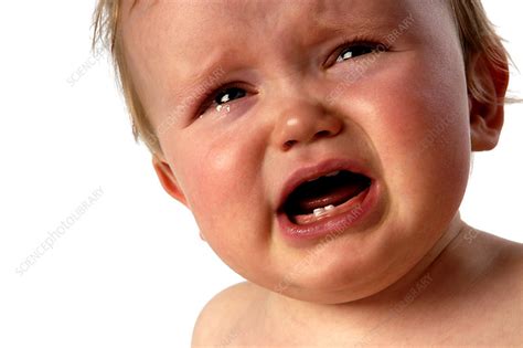 Baby Crying Stock Image M8301733 Science Photo Library