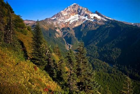 West Cascades Oregon Conservation Strategy