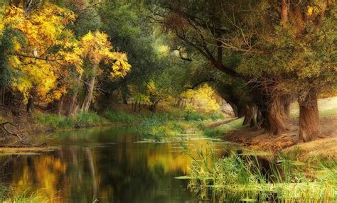 Wallpaper Sunlight Trees Landscape Forest Fall Water Nature