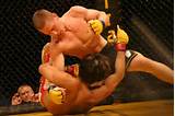 Mixed Martial Arts Styles Fighting Images