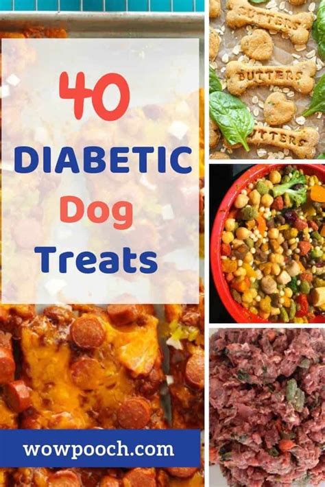 40 Diabetic Dog Treats You Can Easily Make Wowpooch Diabetic Dog