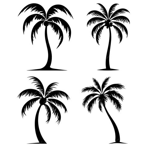 Premium Vector Coconut Palm Tree Vector Silhouette
