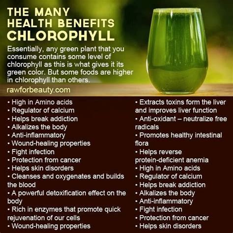 The Benefits Of Chlorophyll Health Chlorophyll Benefits Natural Remedies