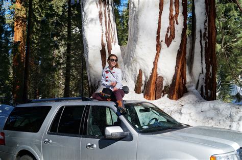 Must Visit Sequoia National Park In California Bag At You