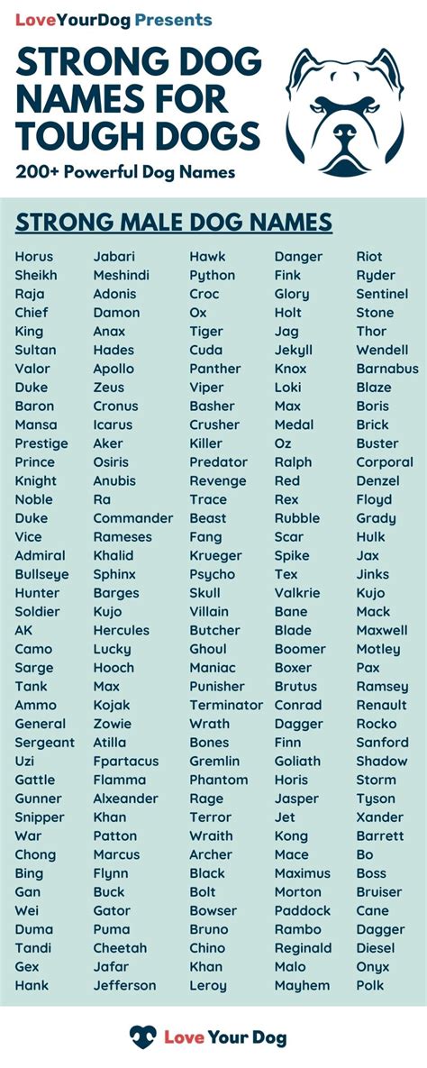 Tough Dog Names 200 Strong Powerful Names For Male Dogs Artofit