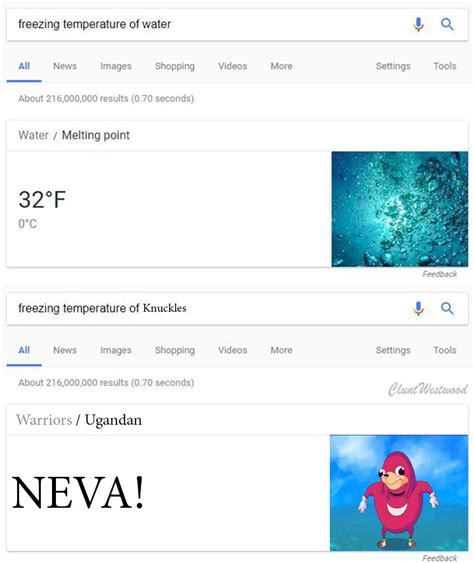We Neva Fureeze Ugandan Knuckles Know Your Meme