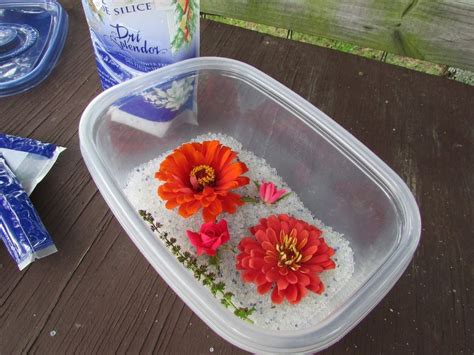 It absorbs moisture holding it inside. Drying Fresh Flowers With Silica Gel | Mason jar ...