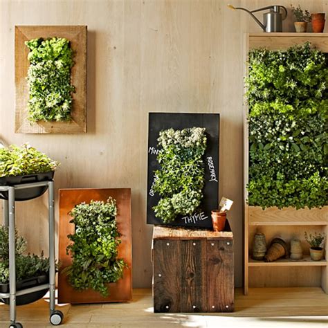 — indoor vertical gardens are a fantastic way to maximize unused space by growing herbs and vegetables indoors, especially if your garden space is limited, which helps reduce grocery bills and carbon footprint. 8 Simple Ways To Create An Indoor Vertical Garden In Your Home