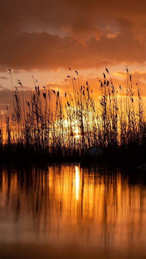 Download Wallpaper 720x1280 Lake Reeds Sunset Dusk Dark Samsung