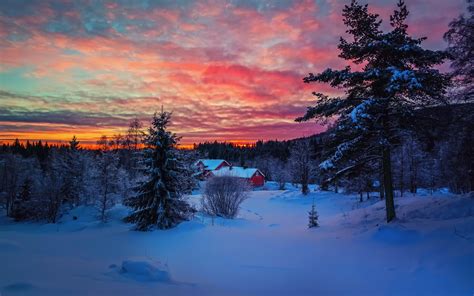Winter Evening Sunset Sky Clouds Snow Forest House Wallpaper