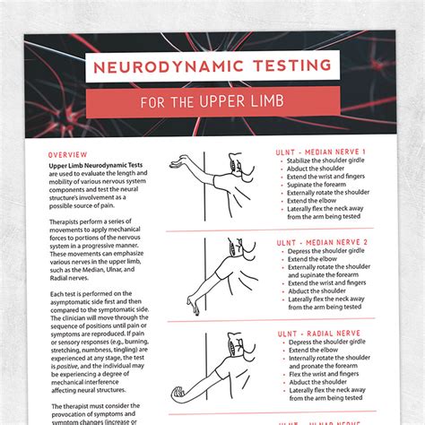 Neurodynamic Testing For The Upper Limb Adult And Pediatric Printable