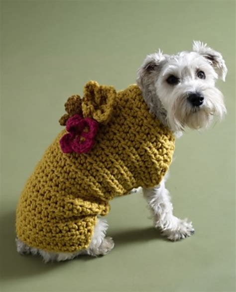 Ravelry Flower Garden Dog Sweater Pattern By Lion Brand Yarn
