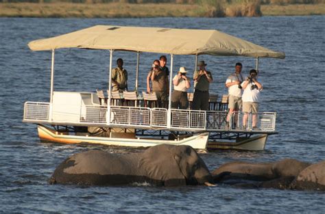 Chobe River And National Park Facts Botswana Travel Guide