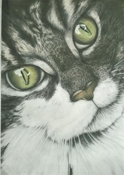 Pin By Karen Gazdik On Zelf Gemaakt Realistic Cat