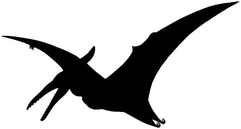 Pterosaur Silhouette Svg Flying Dinosaur Png Dino Vector Anhanguera