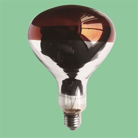 A wide variety of heat bulbs bathroom options are available to you, such as project solution capability, design style, and warranty. 250w 275w Infrared Heat Bulb R125 R40 Br40 For Animal Food ...