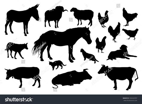 Various Farm Domestic Animals Silhouettes On White Background Stock