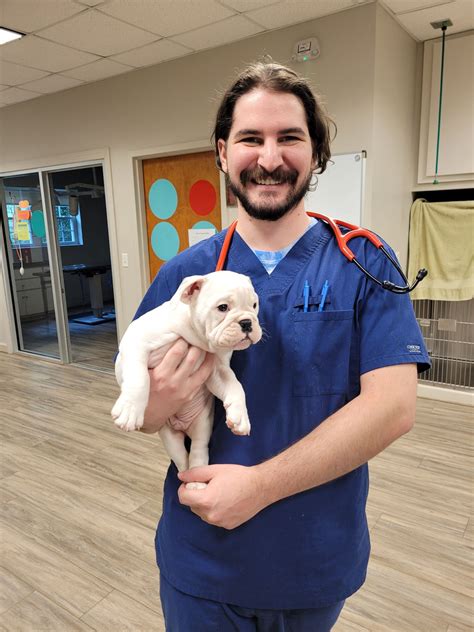 Meet The Veterinarians From Our Hospital Salty Pawssalty Paws