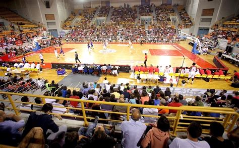 | ολυμπιακοι αγωνεσ | iefimerida.gr | ολυμπιακοι αγωνεσ τοκιο 2021, ολυμπιακοί αγώνες, τηλεοπτικο προγραμμα ολυμπιακων αγωνων 2021, τηλεοπτικό πρόγραμμα, ερτ Μειωμένες τιμές στο 2ο International Basketball Tournament ...