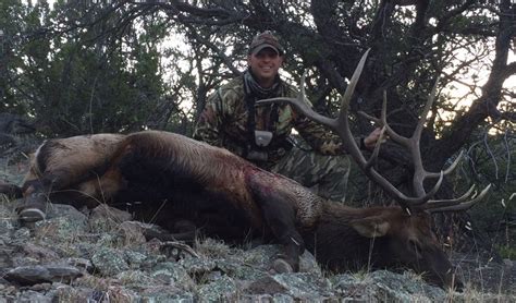 Scott Nm Bull Elk From 53 New Mexico Big Game Hunting