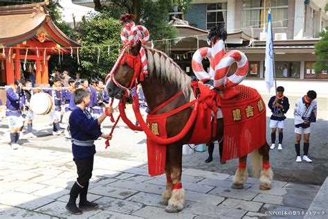 藤崎八幡宮例大祭｜npo 日本の祭りネットワーク