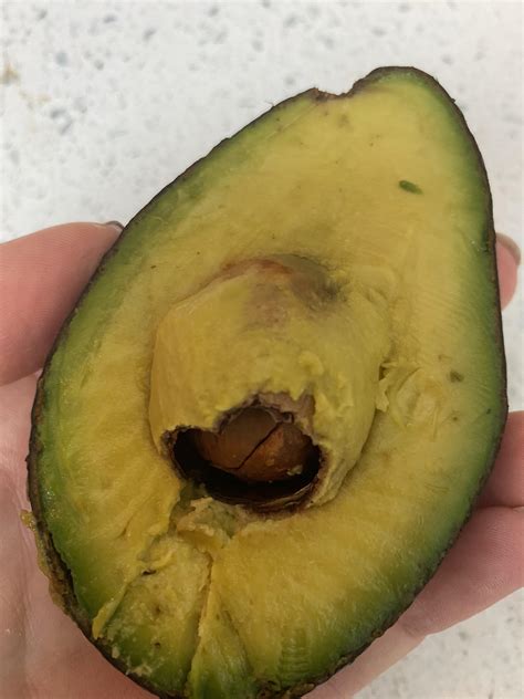 My Avocado Seed Was Hollow And Had Another Seed Inside R