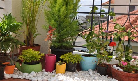 El techo, es solo uno de los existen gran variedad de plantas colgantes, de colores, formas, tamaños y texturas muy diferentes. Instalar un jardín en tu balcón o terraza con flores, piedra, cañas o color