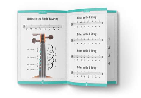 All Violin Notes For Beginners With Easy Pdf Charts Violinspiration