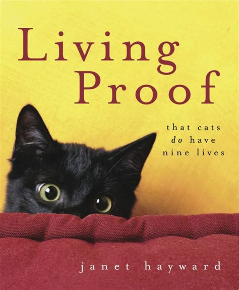 Mews Living Proof That Cats Do Have Nine Lives Nine Lives Cats