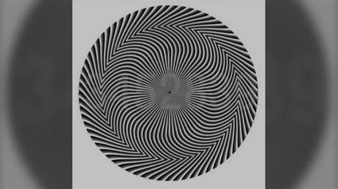 Do You See A Number Optical Illusion Stumps Twitter Users Ctv News