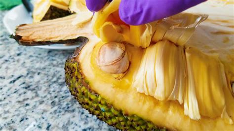 Shop trees and more at the home depot. How to Cut Jackfruit & Indian Chutney Recipe | The ...