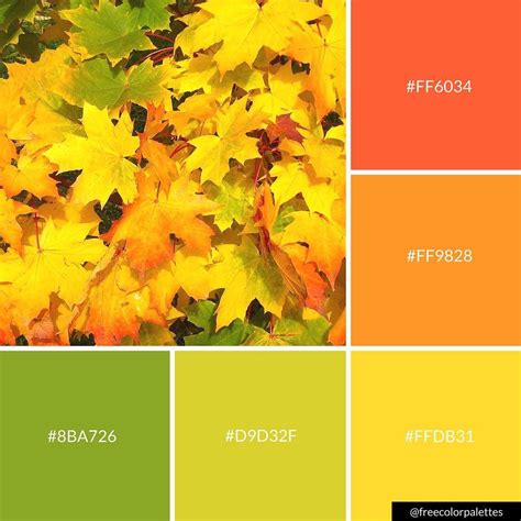 Autumn Leaf Color Chart