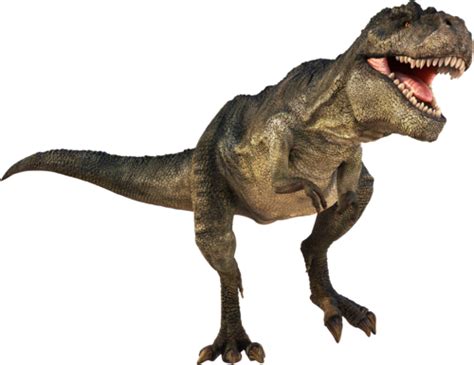 And rex translates to king in latin. T-Rex Dinosaurs History | Dinosaurs Pictures and Facts