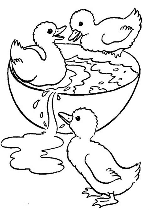 Free Easy To Print Duck Coloring Pages Tulamama