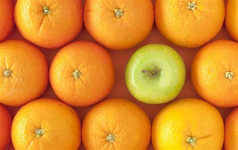 Curious Questions Can You Actually Compare Apples And Oranges