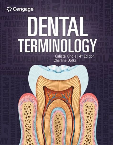 Top 33 Imagen Dental Office Terminology Abzlocalmx