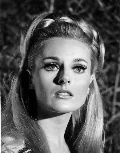 Celeste Yarnall 60s 70s Photo Gallery Nsfw 31 Photos