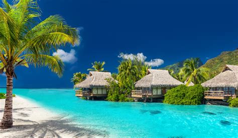 Ilhas Fiji O Destino Ideal Para Muito Amor E Uma Cabana