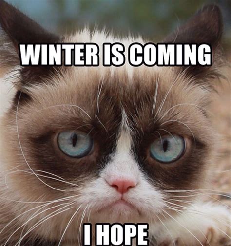 Winter Is Coming Grumpy Cat Meme Funny Grumpy Cat Memes Grumpy Cat