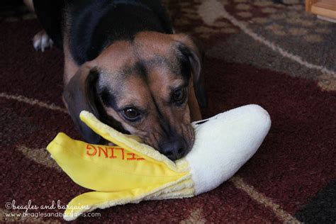 Luna Unwraps A Birthday Banana